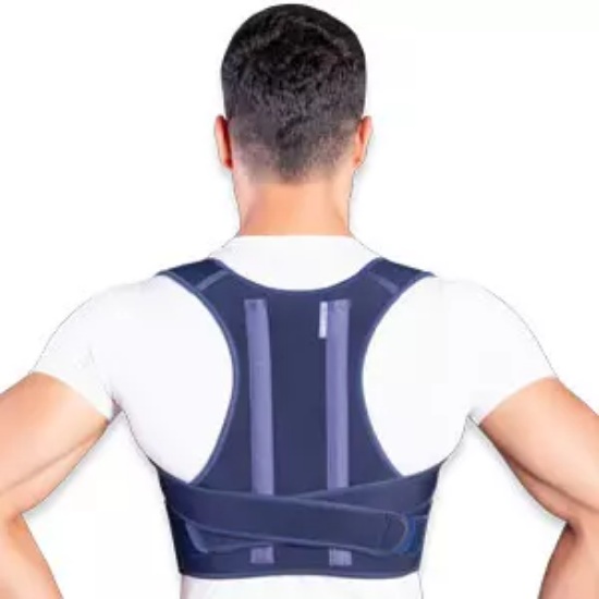 تصویر از قوزبند پلدار اپلون تن یار کد4250