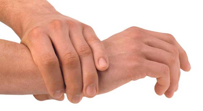 آشنایی با آناتومی دست انسان